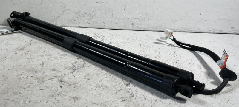 Load image into Gallery viewer, 19-25 HONDA PASSPORT REAR LH & RH LIFTGATE POWER SHOCK LIFT CYLINDER # 113451