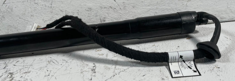 Load image into Gallery viewer, 19-25 HONDA PASSPORT REAR LH & RH LIFTGATE POWER SHOCK LIFT CYLINDER # 113451