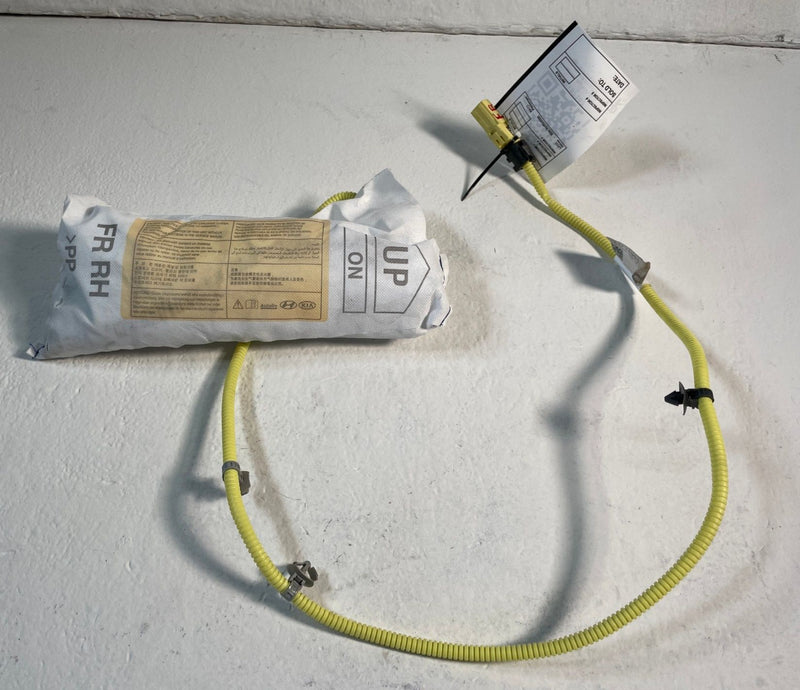 Load image into Gallery viewer, 2020 - 2025 KIA TELLURIDE FRONT RIGHT SIDE SEAT AIRBAG AIR BAG #107107