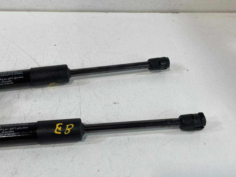 Load image into Gallery viewer, 2020-2025 HYUNDAI PALISADE FRONT LH & RH HOOD LIFT SHOCK STRUT SUPPORT # 102357