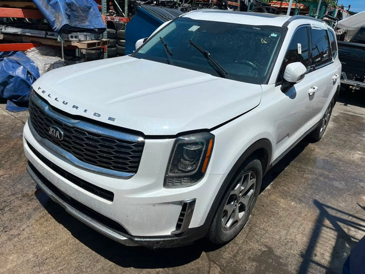 2020 Kia Telluride 043736