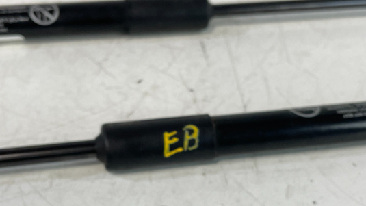 2019-2023 SANTA FE FRONT LEFT & RIGHT SIDE HOOD SHOCK STRUT LIFT SUPPORT