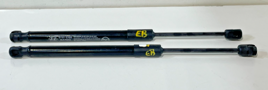 19-23 HYUNDAI SANTA FE LEFT & RIGHT SIDE HOOD BONNET LIFT SUPPORT PAIR