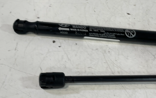 2019-2023 SANTA FE FRONT LEFT & RIGHT SIDE HOOD SHOCK STRUT LIFT SUPPORT