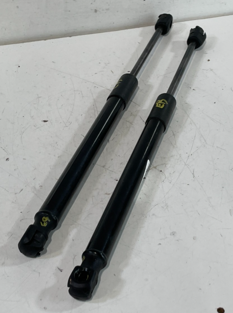 Load image into Gallery viewer, 19-23 HYUNDAI SANTA FE LEFT &amp; RIGHT SIDE HOOD BONNET LIFT SUPPORT PAIR # 102931
