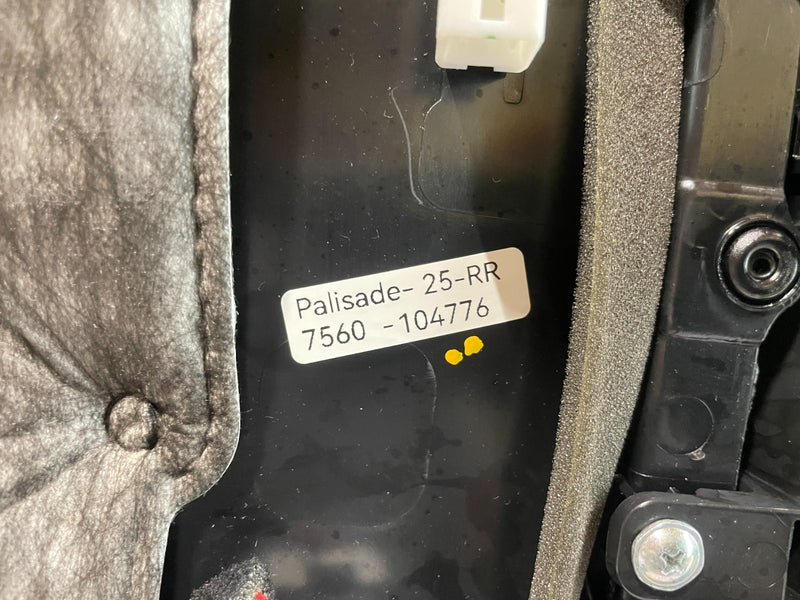 Load image into Gallery viewer, 2020 - 2022 HYUNDAI PALISADE REAR RIGHT PASSENGER SIDE DOOR TRIM PANEL # 104776
