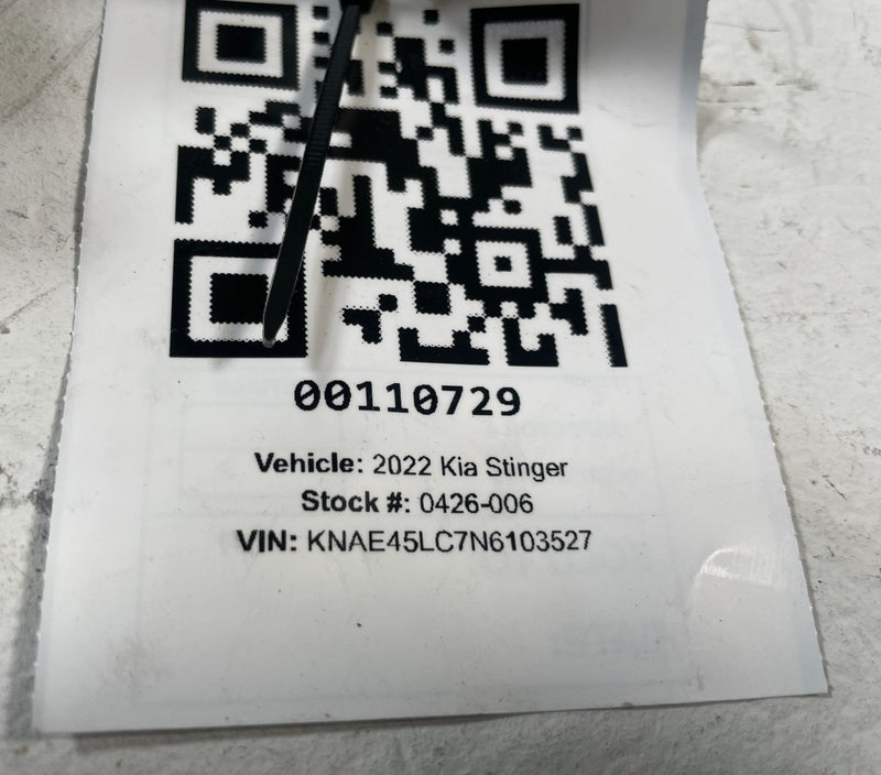 Load image into Gallery viewer, 2022-2023 KIA STINGER LOW VOLTAGE DC CONVERTER CONTROL MODULE UNIT LDC # 110729
