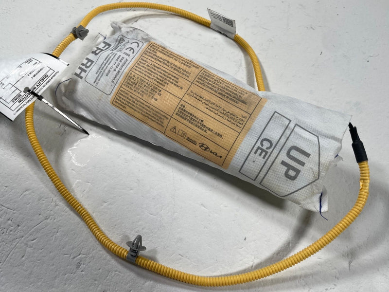 Load image into Gallery viewer, 23-25 HYUNDAI IONIQ 6 FRONT RIGHT PASSENGER SIDE SEAT AIRBAG 80620-KL000 #110880
