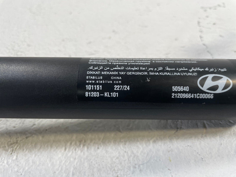 Load image into Gallery viewer, 23-25 HYUNDAI IONIQ 6 REAR TRUNK LEFT &amp; RIGHT POWER LIFT CYLINDER STRUT # 109822
