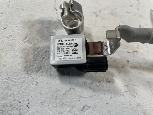 2023-2025 HYUNDAI IONIQ 6 NEGATIVE BATTERY CABLE WIRE HARNESS & SENSOR