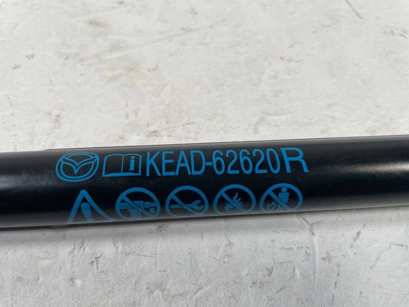 Load image into Gallery viewer, 2017-2025 MAZDA CX-5 REAR LH &amp; RH TAILGATE LIFTGATE SHOCK LIFT SUPPORT # 111205
