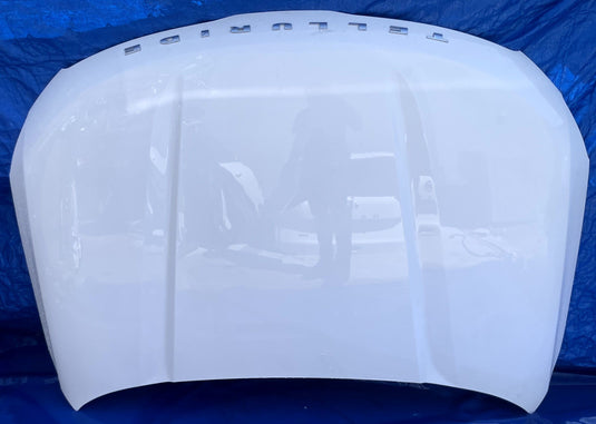 KIA TELLURIDE FRONT HOOD BONNET COVER PANEL ASSEMBLY WHITE (GWP) 20-25