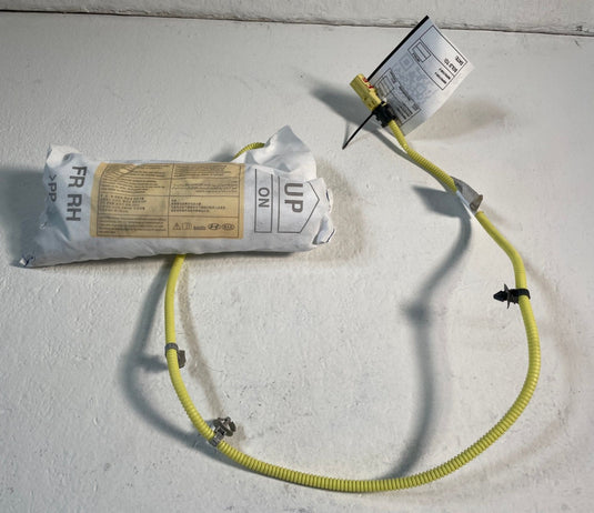 2020 - 2025 KIA TELLURIDE FRONT RIGHT SIDE SEAT AIRBAG AIR BAG