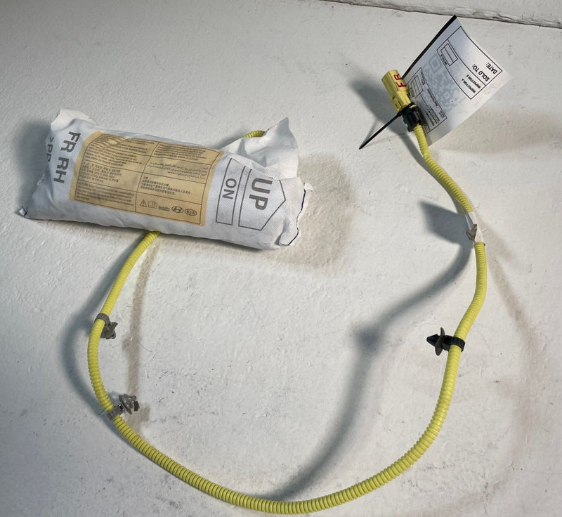 Load image into Gallery viewer, 2020 - 2025 KIA TELLURIDE FRONT RIGHT SIDE SEAT AIRBAG AIR BAG #107107
