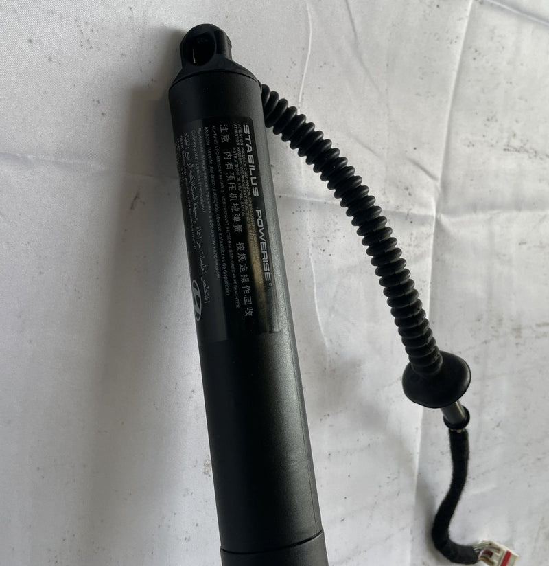 Load image into Gallery viewer, 2023-2024 HYUNDAI IONIQ 5 REAR LEFT &amp; RIGHT SIDE TRUNK SHOCK STRUT SET # 107274
