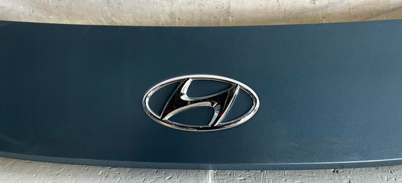 Load image into Gallery viewer, 2022 - 2024 HYUNDAI IONIQ 5 REAR TRUNK LID LIFTGATE MOLDING TRIM PANEL # 114099
