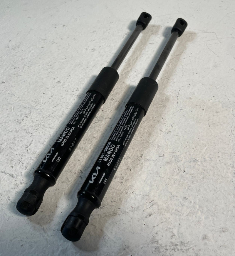 Load image into Gallery viewer, 2020-2025 KIA TELLURIDE FRONT LEFT &amp; RIGHT HOOD LIFT SHOCK STRUT SET # 107126
