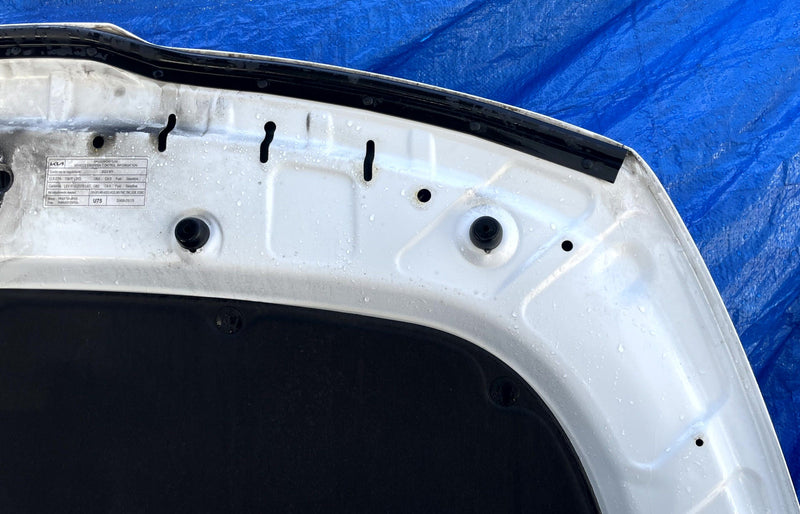 Load image into Gallery viewer, KIA SPORTAGE FRONT HOOD BONNET COVER PANEL ASSEMBLY WHITE 2023-2026 # 109224
