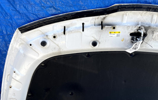 KIA SPORTAGE FRONT HOOD BONNET COVER PANEL ASSEMBLY WHITE 2023-2026