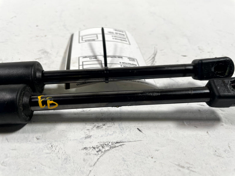 Load image into Gallery viewer, 2020-2025 KIA TELLURIDE FRONT LEFT &amp; RIGHT HOOD LIFT SHOCK STRUT SET # 112733
