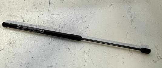 2022-2025 HYUNDAI IONIQ 5 FRONT LEFT & RIGHT SIDE HOOD SHOCK STRUT SET