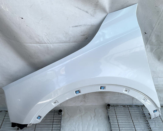 KIA TELLURIDE FRONT LEFT DRIVER SIDE FENDER ASSEMBLY WHITE (GWP) 20-25