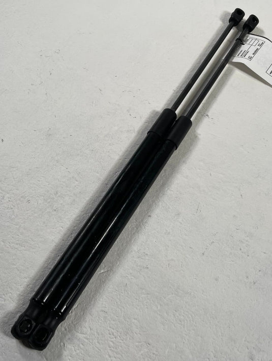 2022-2025 HYUNDAI IONIQ 5 FRONT LEFT & RIGHT SIDE HOOD SHOCK STRUT SET