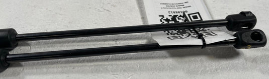2022-2025 HYUNDAI IONIQ 5 FRONT LEFT & RIGHT SIDE HOOD SHOCK STRUT SET