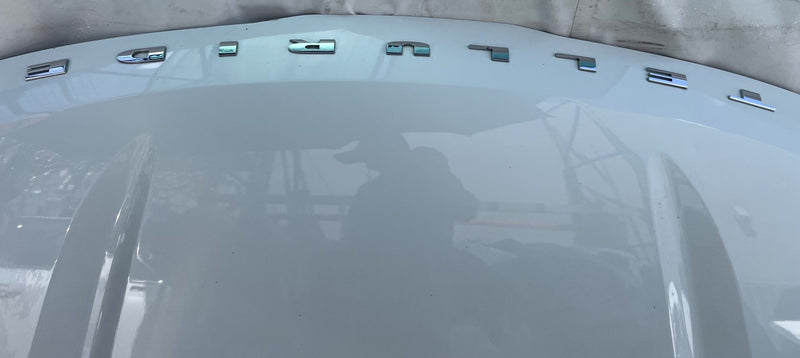 Load image into Gallery viewer, KIA TELLURIDE FRONT HOOD BONNET COVER PANEL ASSEMBLY WHITE (GWP) 20-25 # 114384
