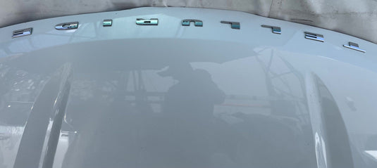 KIA TELLURIDE FRONT HOOD BONNET COVER PANEL ASSEMBLY WHITE (GWP) 20-25