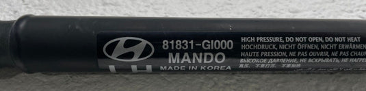 2022-2025 HYUNDAI IONIQ 5 LH & RH TAILGATE LIFTGATE LIFT CYLINDER STRUT