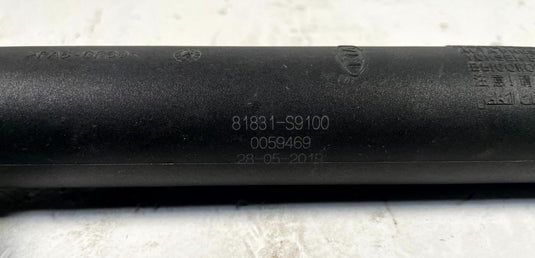 20-22 KIA TELLURIDE REAR LEFT & RIGHT TAILGATE SHOCK STRUT LIFT SUPPORT