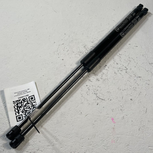 2022-2026 HYUNDAI IONIQ 5 FRONT LEFT & RIGHT SIDE HOOD SHOCK STRUT SET
