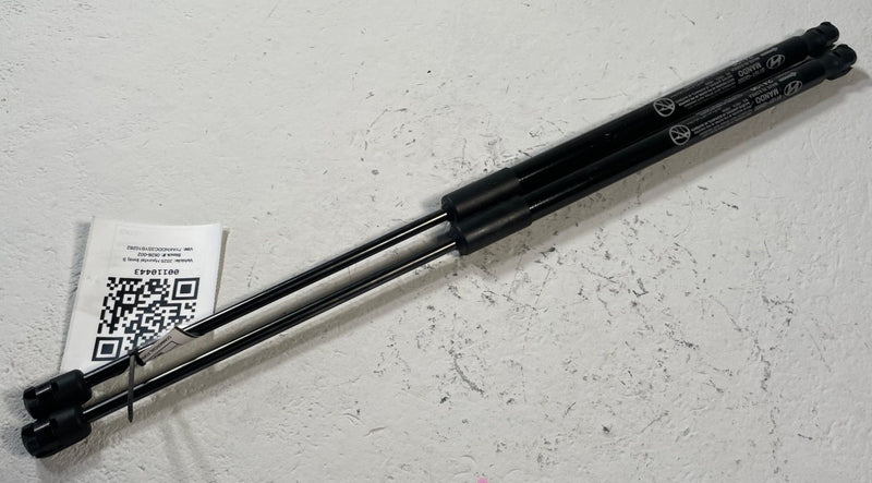 Load image into Gallery viewer, 2022-2026 HYUNDAI IONIQ 5 FRONT LEFT &amp; RIGHT SIDE HOOD SHOCK STRUT SET # 110443
