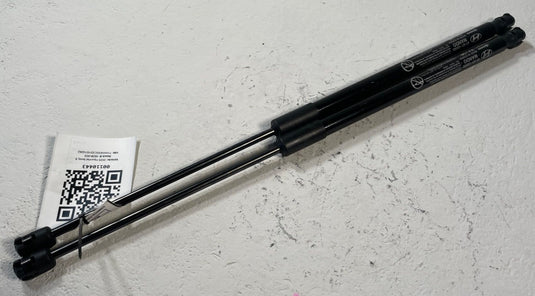 2022-2026 HYUNDAI IONIQ 5 FRONT LEFT & RIGHT SIDE HOOD SHOCK STRUT SET