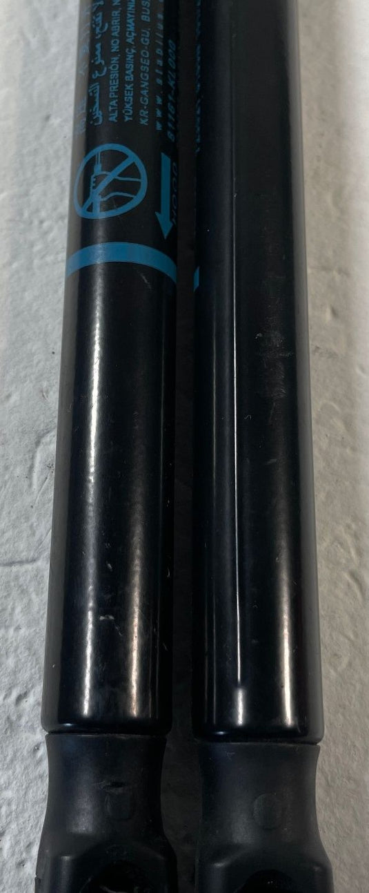 23-25 HYUNDAI IONIQ 6 FRONT LEFT & RIGHT HOOD POWER LIFT CYLINDER STRUT