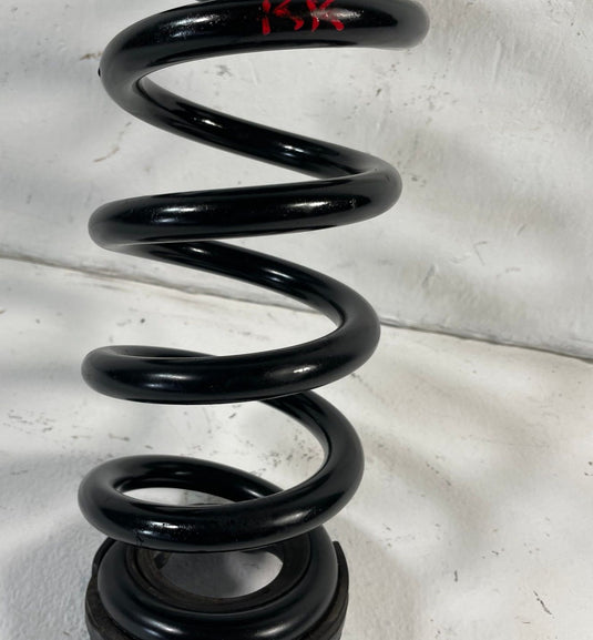 2019-2022 BMW 330I G20 RWD REAR SUSPENSION RIGHT OR LEFT SIDE COIL SPRING 106327