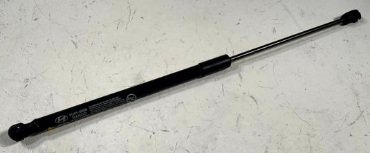 2022-2026 HYUNDAI IONIQ 5 FRONT LEFT & RIGHT SIDE HOOD SHOCK STRUT SET