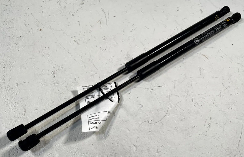 Load image into Gallery viewer, 2022-2026 HYUNDAI IONIQ 5 FRONT LEFT &amp; RIGHT SIDE HOOD SHOCK STRUT SET # 114069
