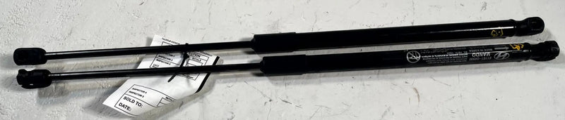 Load image into Gallery viewer, 2022-2026 HYUNDAI IONIQ 5 FRONT LEFT &amp; RIGHT SIDE HOOD SHOCK STRUT SET # 114069
