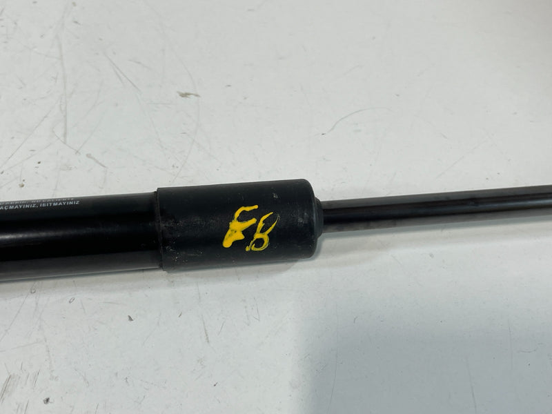 Load image into Gallery viewer, 2020-2025 HYUNDAI PALISADE FRONT LH &amp; RH HOOD LIFT SHOCK STRUT SUPPORT # 102357
