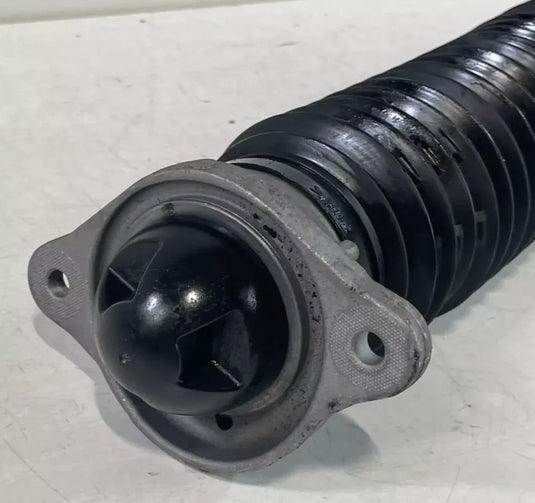 22-24 HONDA CIVIC LX SEDAN REAR LH OR RH SIDE SHOCK STRUT ABSORBER 2.0L